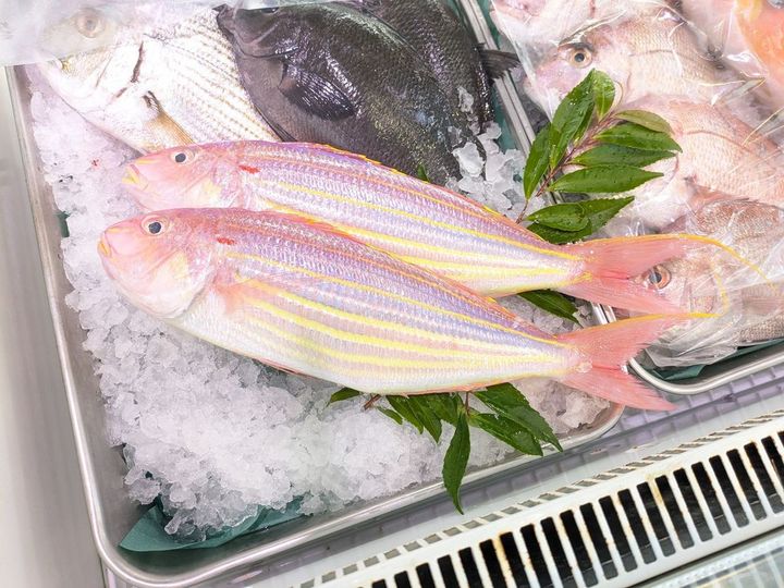 食欲が減退しがちな夏の食材は見た目も大事。涼やかで華やかなイトヨリを丸ごと食べる効用と方法を教わりました