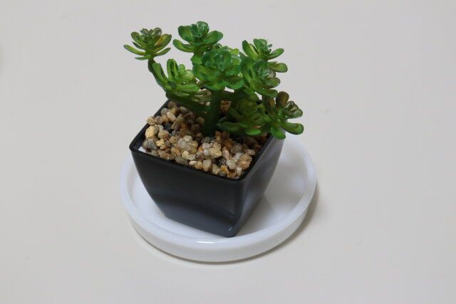 セリアのガラス風受皿は3号鉢にちょうどいい