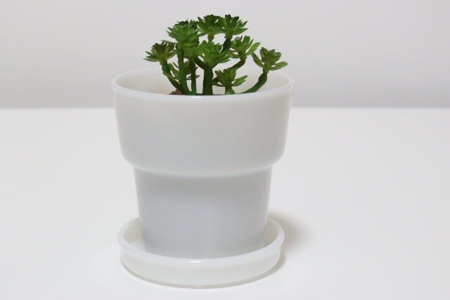 セリアのガラス風ポットとガラス風受皿はセット使いがおすすめ