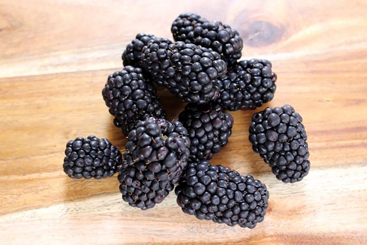 熟すと黒くなるブラックベリー。ビタミンC豊富な甘酸っぱさが特徴！