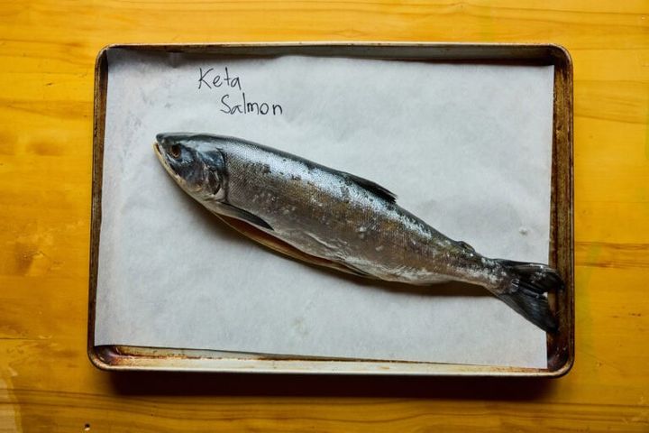 秋に川を遡上する「秋サケ」として知られるチャムサーモン（秋サケ・シロサケ）