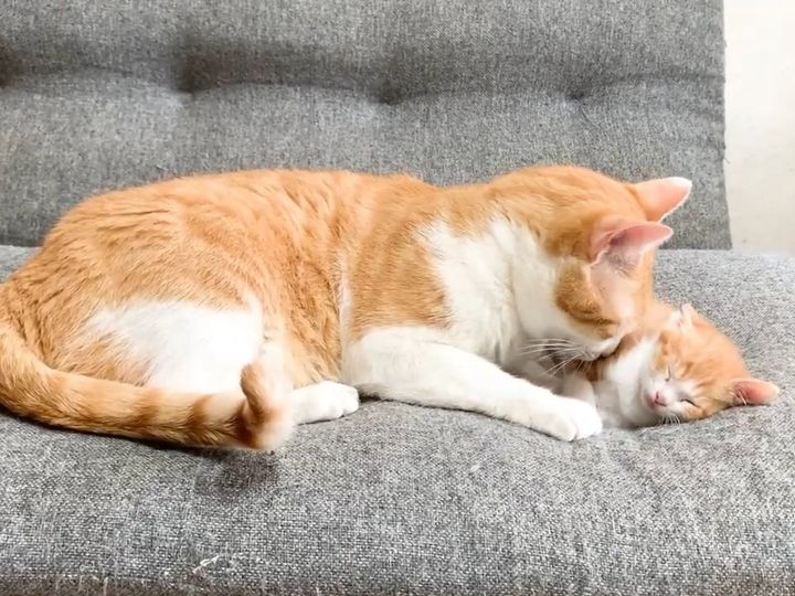 本当の親子みたい…！