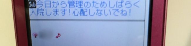 母の認知症介護日記／ワフウフ
