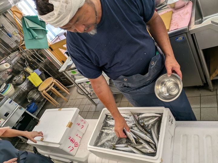 ミズカマスの選び方を教えてくれる上田勝彦さん。腹が固くて、体の中央部分の幅が広くて太いものが良いそうです