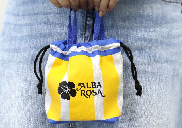 宝島社アルバローザ巾着ポーチ平成レトロ