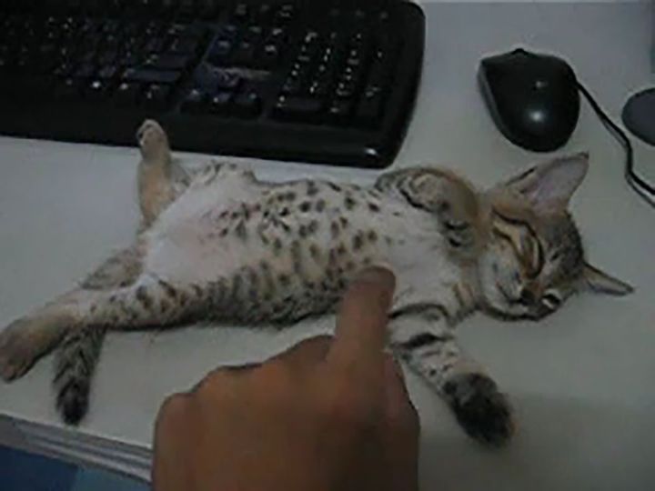 起きる？ 起きない？