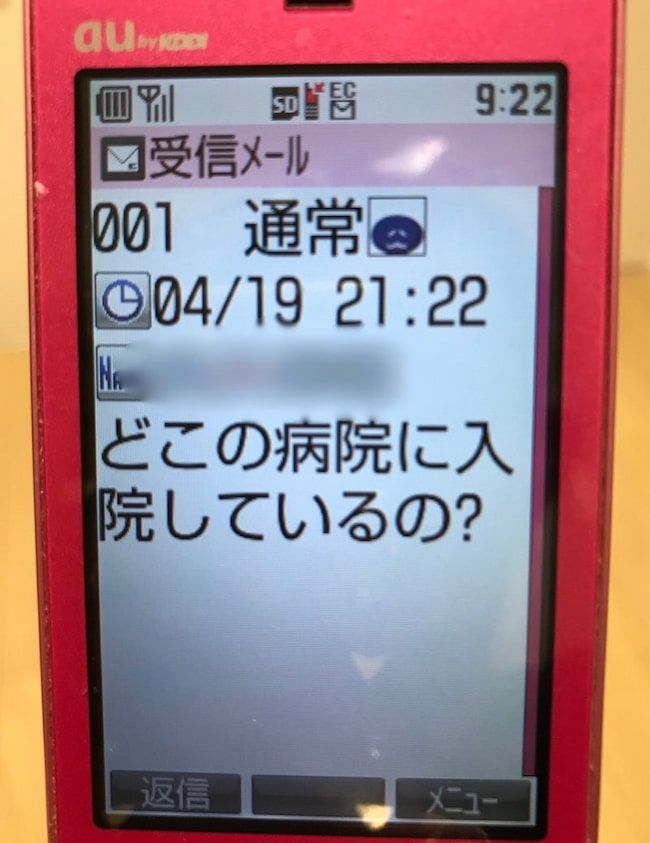 母の認知症介護日記／ワフウフ