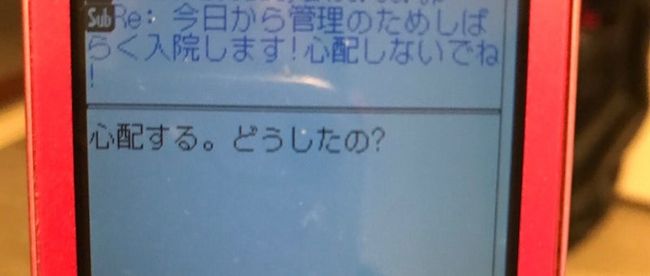 母の認知症介護日記／ワフウフ