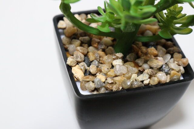 ダイソー 多肉ポット（A） 砂利