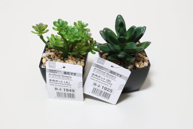 ダイソー 多肉ポット（A） 多肉ポット（B） 商品タグ