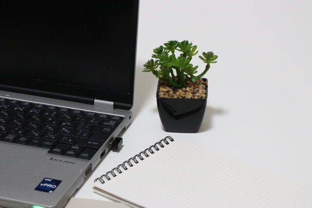 ダイソー 多肉ポット（A） 使用例