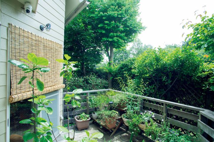 庭木を南側に植えることで遮光＆気化