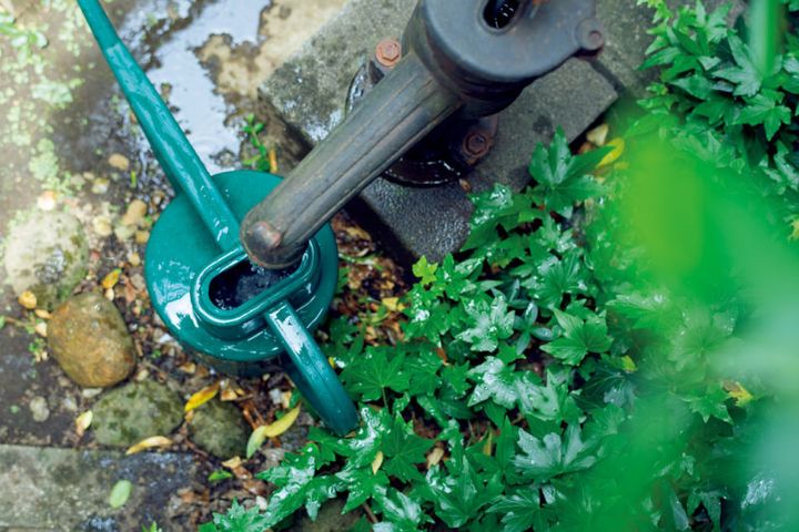 庭木の水やりと打ち水は地下のタンクに溜めた雨水で