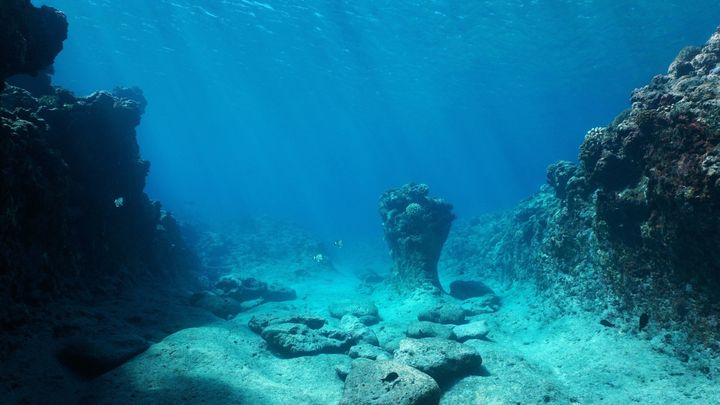 海底から消えるメタンの謎を追って