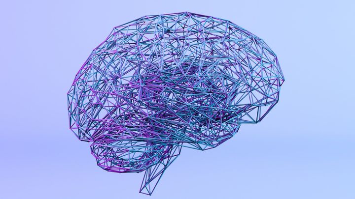 脳の老化を逆転させる「鉄のタンクFTL1」を発見