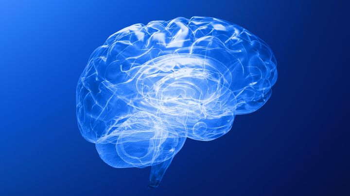 そもそもなぜ脳は年をとると記憶力が落ちる？