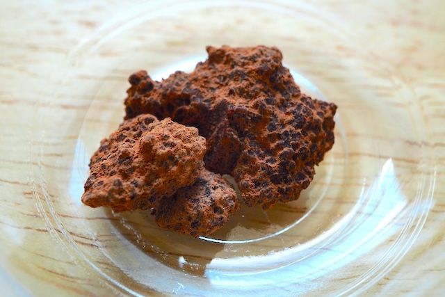 【新旧食べ比べ】ポッキーが10年ぶりにリニューアル！どこが変わった？おいしさを深掘りしてみた 新ポッキーカカオマス