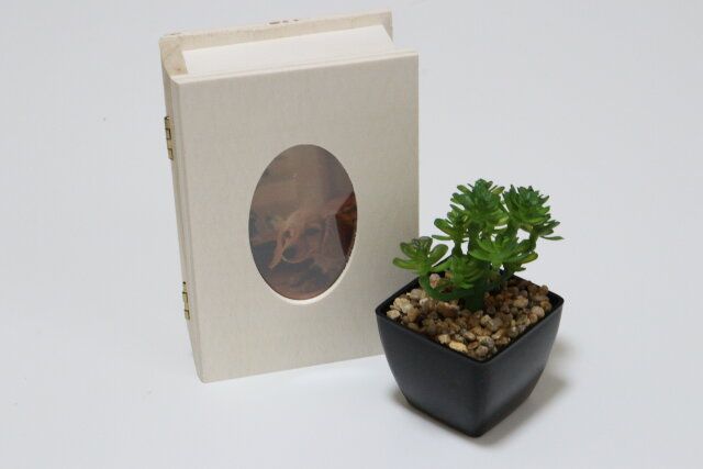 木製ブック型収納ボックス（フォトフレーム付、チェキサイズ） 使用例