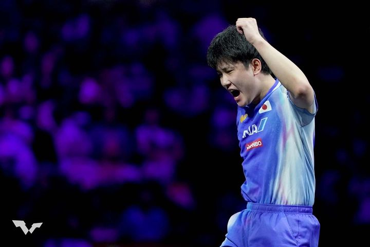 張本智和（C）WTT