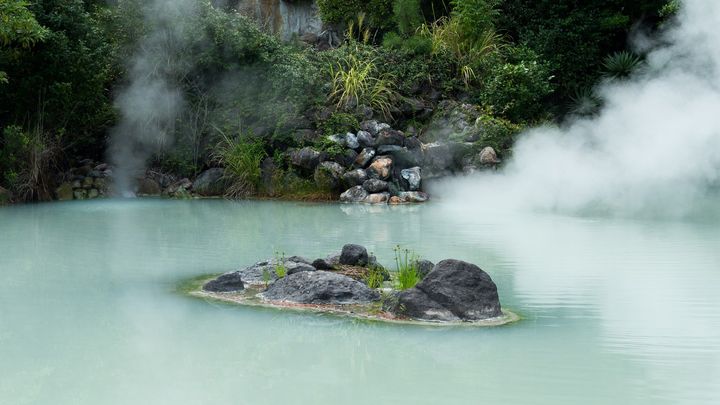日本の「湯の華」は多様な植物を化石にしていた
