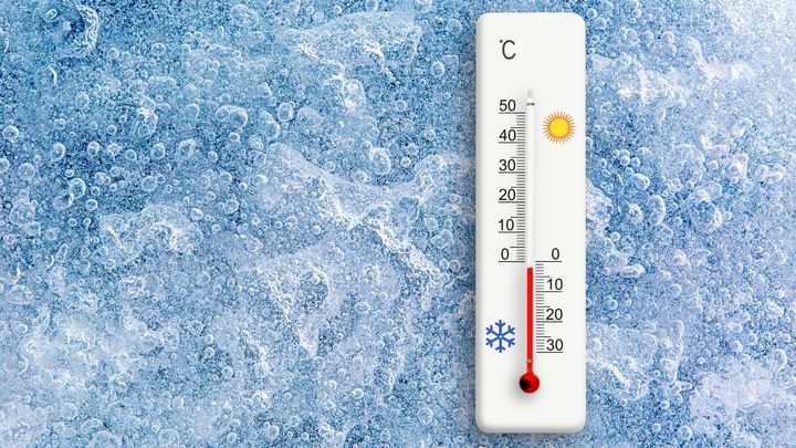 DNAを修復しながら10万年生き続ける