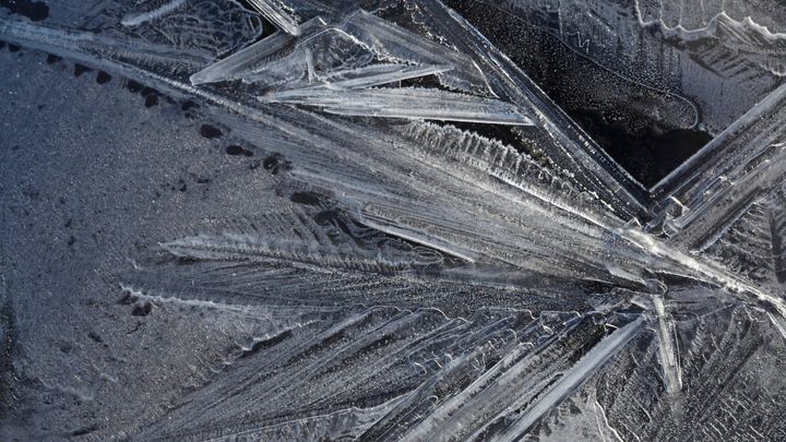 氷の中に「生きている微生物」は本当にいるのか