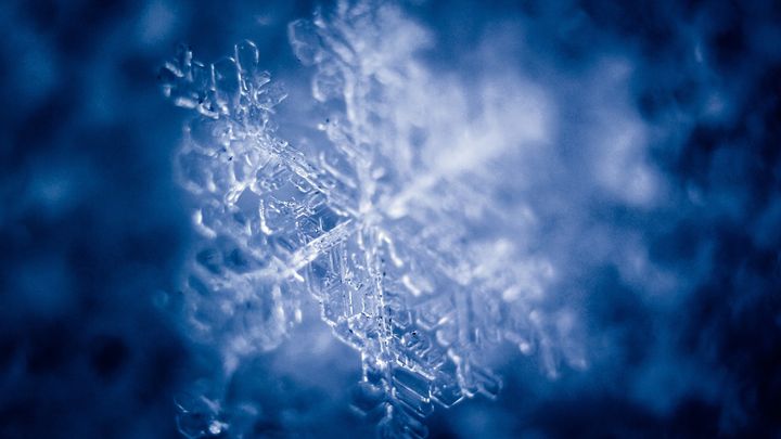 氷の中で10万年も生命活動を続ける微生物がいた