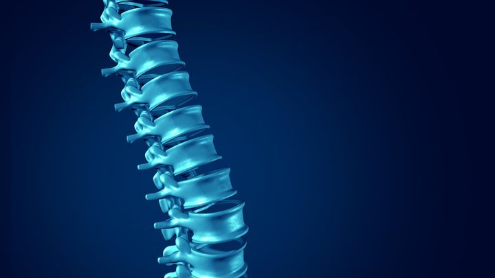 ミニ脊髄を培養して移植するとラットが歩き始めた