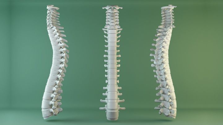 ラットから人間へ：実用化までの課題とは