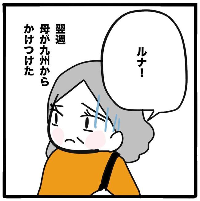 子どもの命か私の命か／つきママ