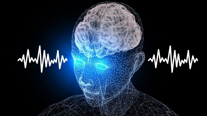 脳はなぜ走ると目を、止まると耳を信じるのか？