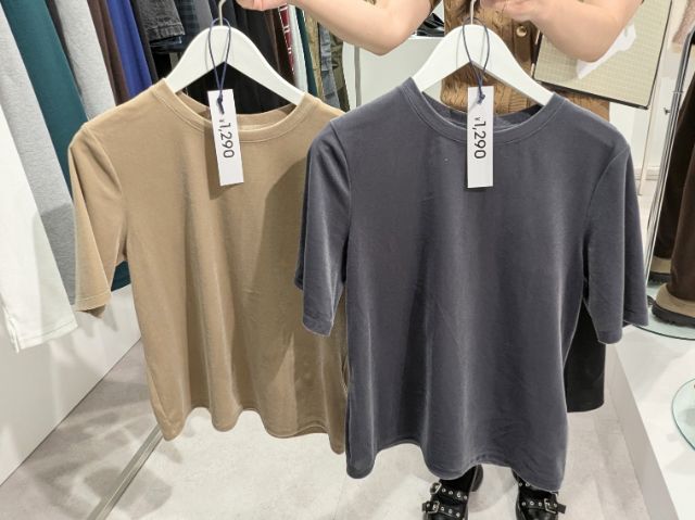 ベージュとグレーのシアーベロアT