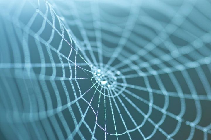 クモの糸は強いが、クモの性質上量産できない