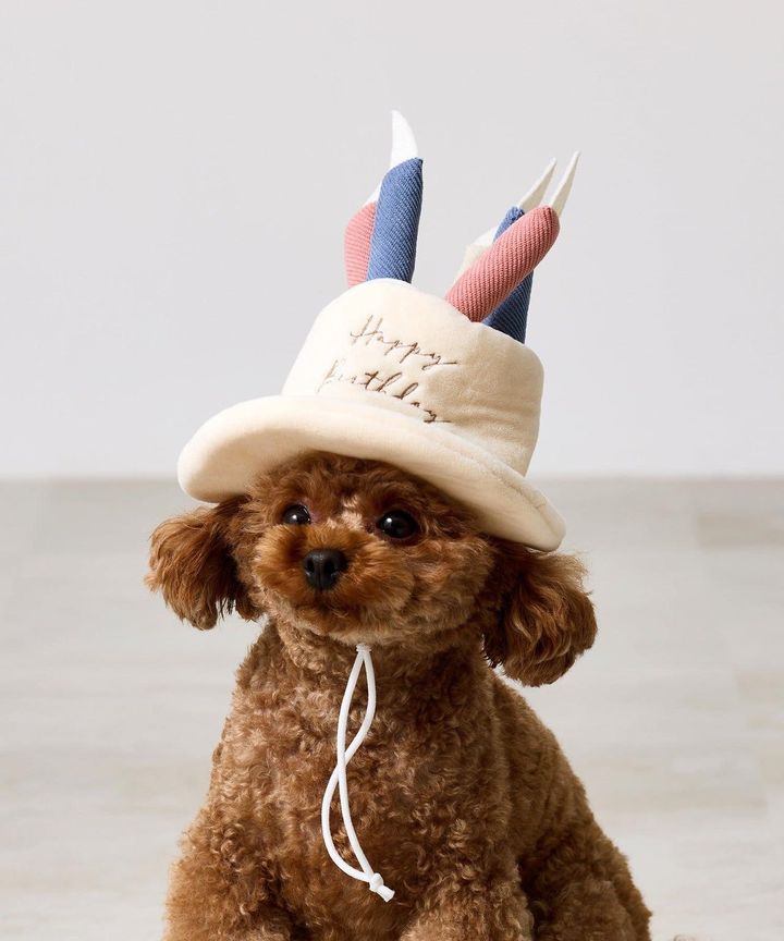 画像2: 出典：3COINS