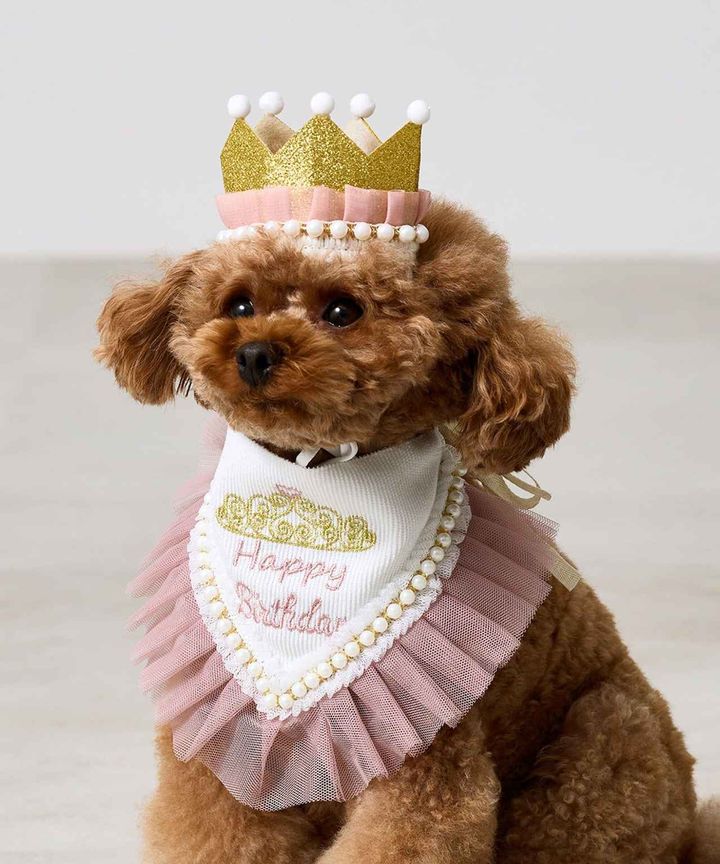 画像1: 出典：3COINS