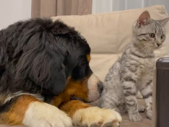 ちょっと強引なスキンシップだけど…