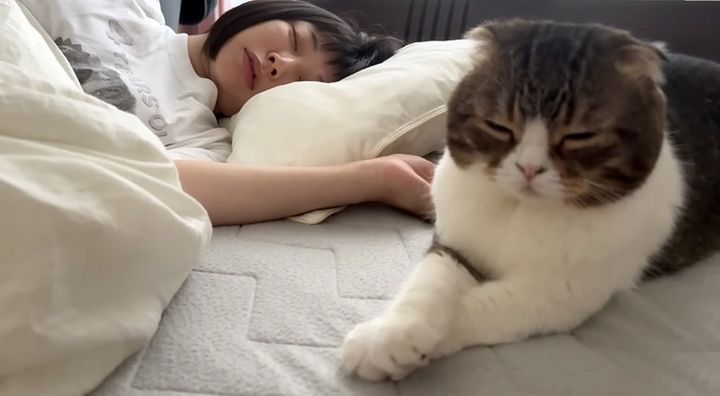飼い主さんを起こせない猫