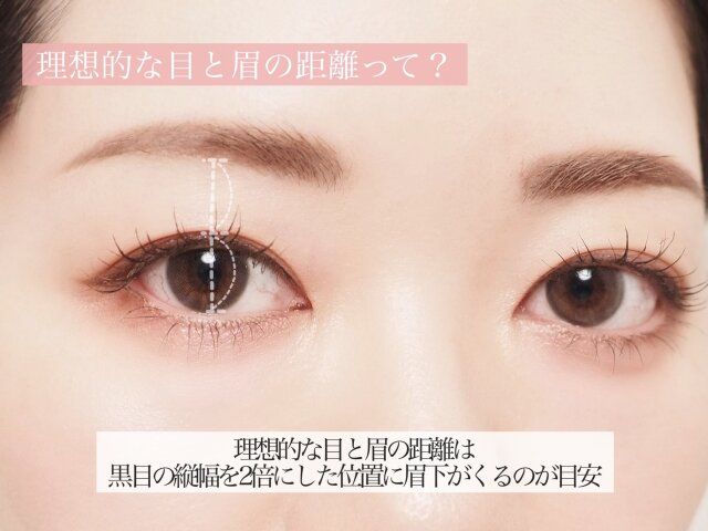 理想的な目と眉の距離 解説