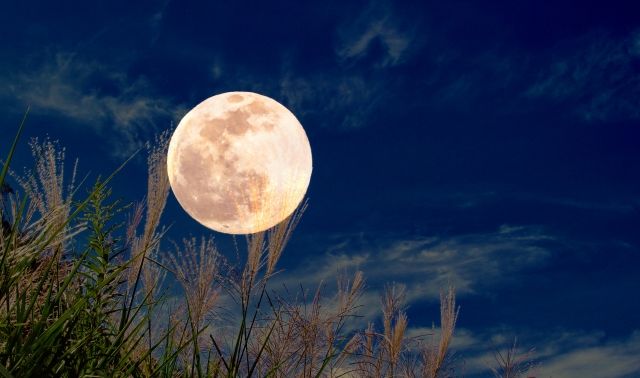 【2025年9月運勢】 人気企画第5弾！国内最大級『占いの館 千里眼』の咲穂実（さほみ）先生による星座占い