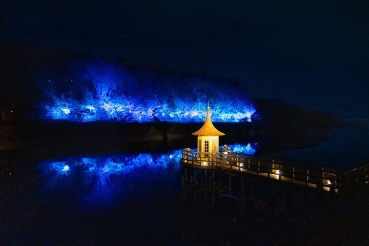 昨年実施イメージ4