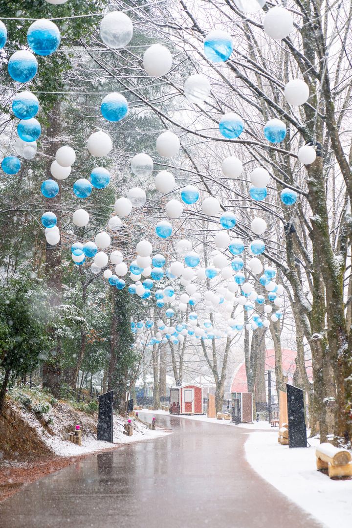 昨年実施イメージ2