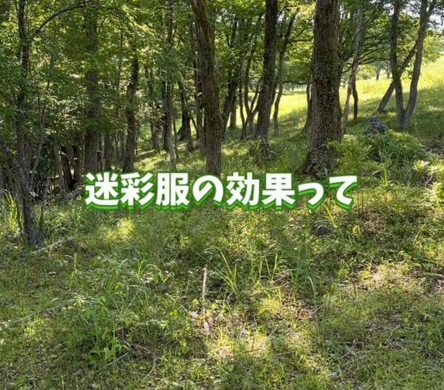 自衛隊東京地方協力本部の公式インスタグラムアカウントより