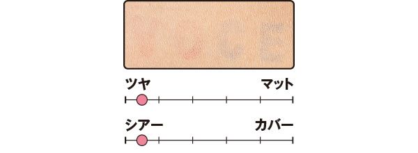 カバー力は？／プロフィニッシュリキッド N