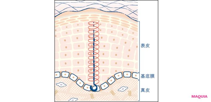 マキア エイジングケア おすすめ SK-II スキンパワー リニュー クリーム フックプロテイン