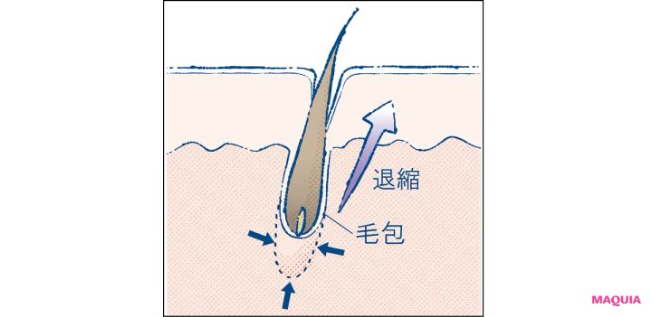 マキア エイジングケア おすすめ POLA ポーラ B.A クリーム ミルク ローション 毛包の再生力
