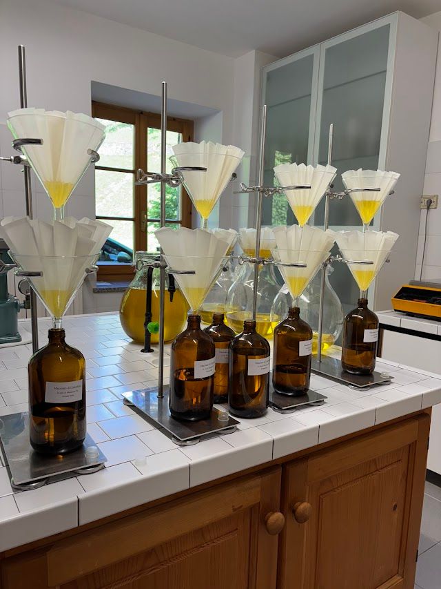 錬金術工房での植物オイル作りの様子