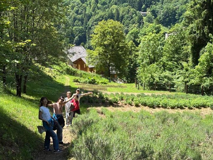 錬金術の薬草畑を見学