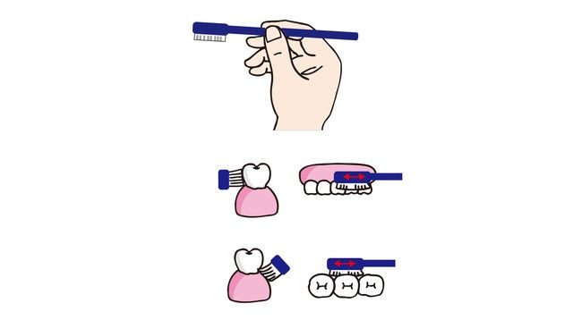 認知症リスクを下げるカギは「歯磨き！？」歯科医が教える正しいオーラルケアの方法【医師解説】