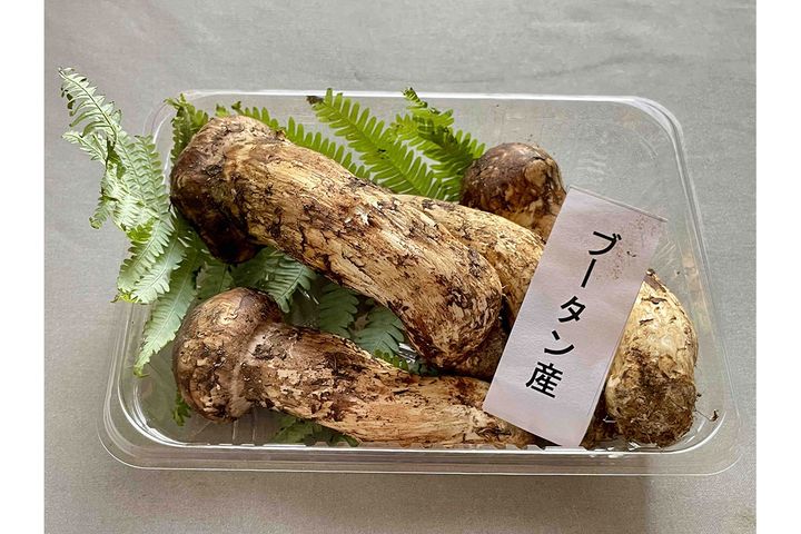 筆者が7月末に購入した「ブータン産」松茸。4本入りで1650円でした！