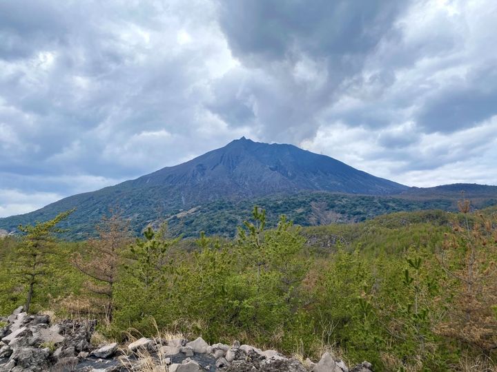 多くの人々に愛される桜島からうまれたユニークなお土産！「お石い桜島」【旅するデザイナーがおすすめするお土産たち！】